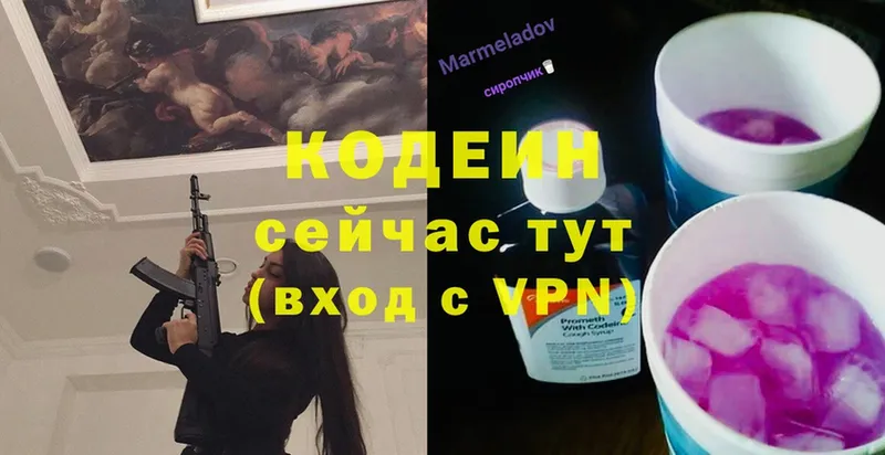 Кодеин Purple Drank  shop состав  Суджа 