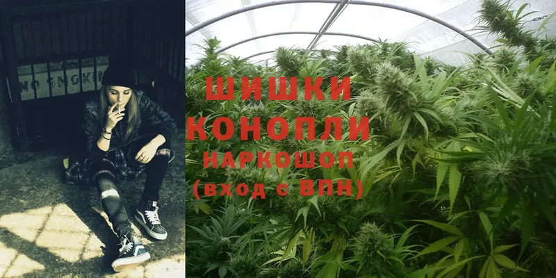 МАРИХУАНА SATIVA & INDICA  Суджа 